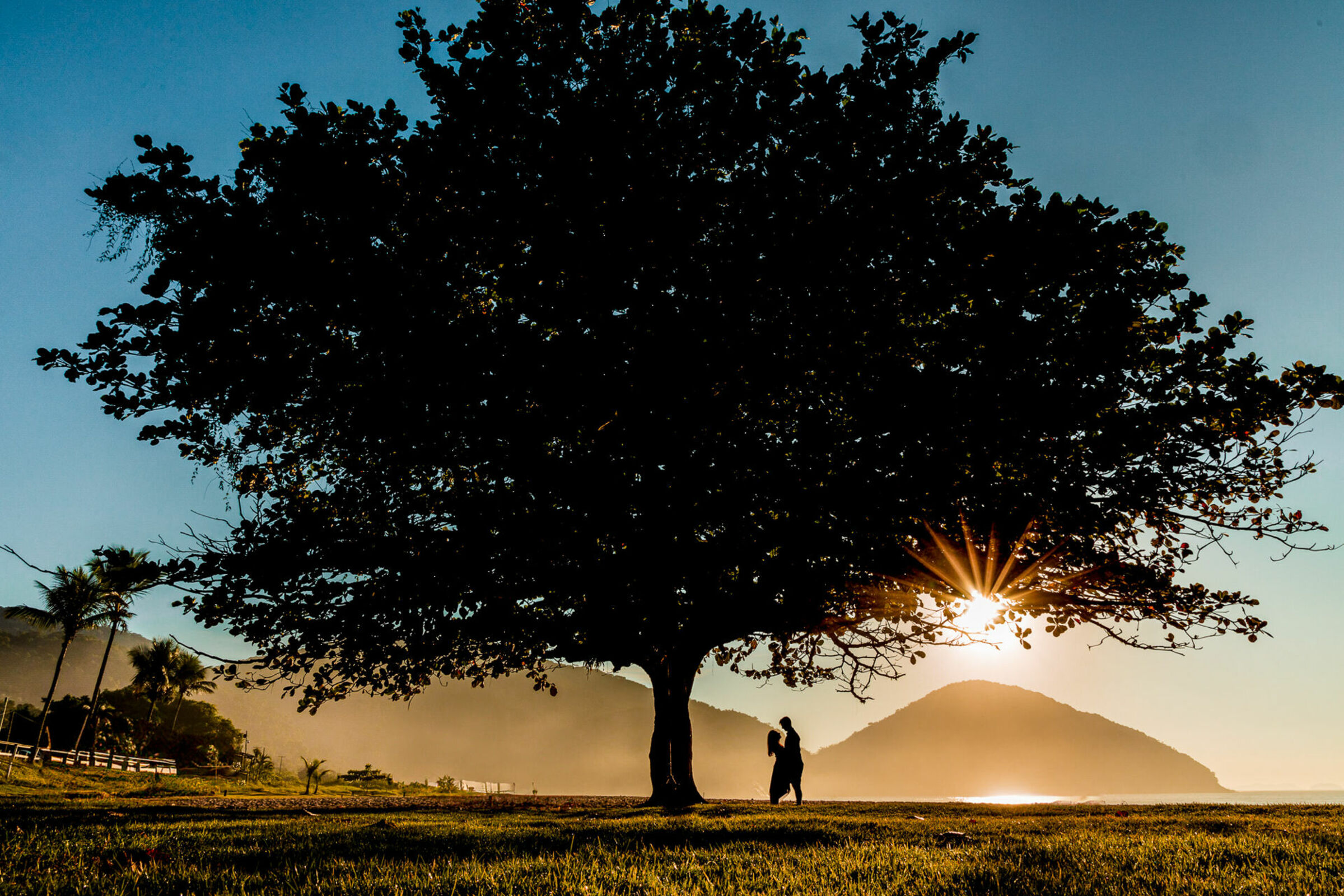 Foto de Davis Fabrini Fotografia 27