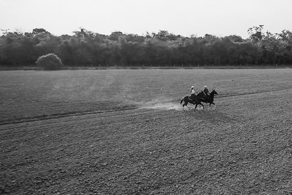Pré Wedding em São José dos Campos - Lilith e Ricardo